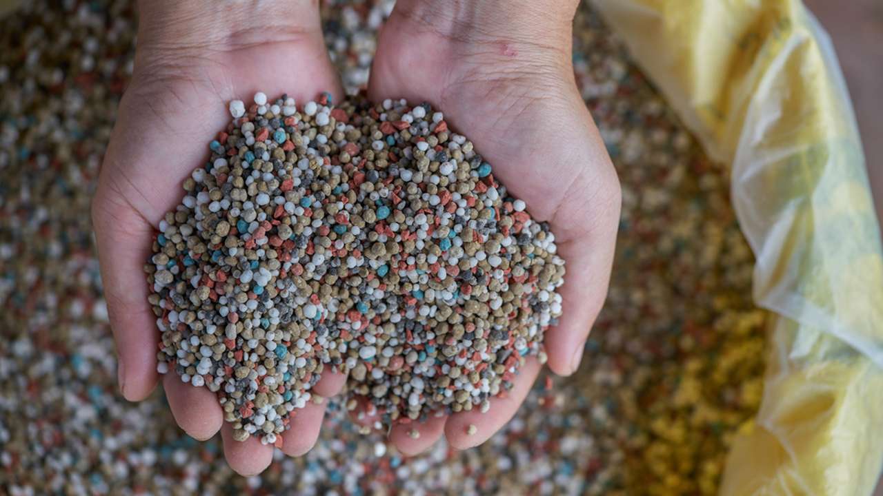 Trigg Mining’s Lake Throssell Hits 27M Ton SOP Target