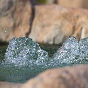 Birmingham spinout Salinity Solutions enters