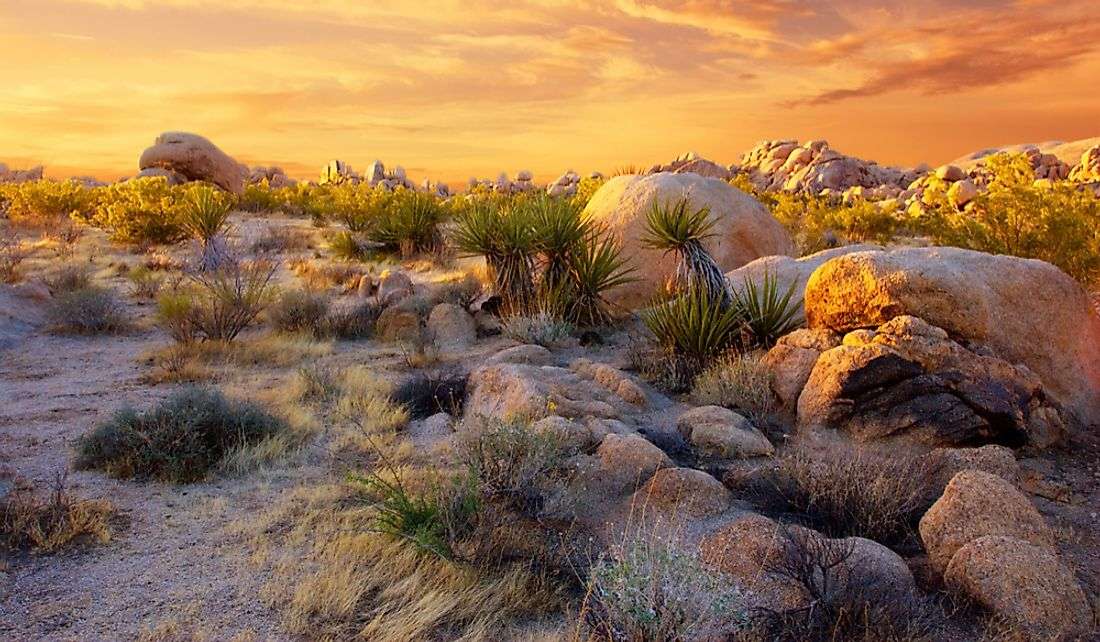 Mountain Pass Mine In California’s Mojave