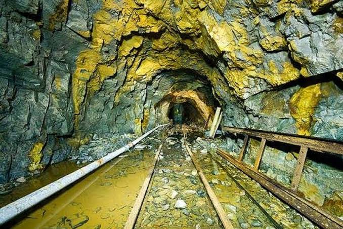 Discovering the Golden Veins: How Mining