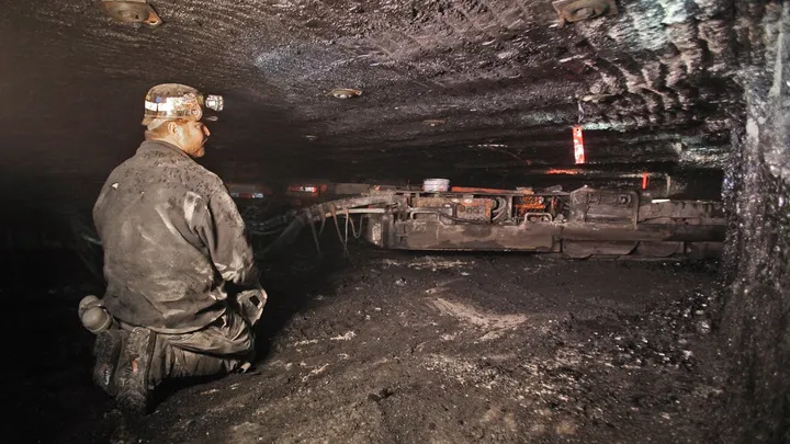 Into the Depths: A Glimpse into the Life of