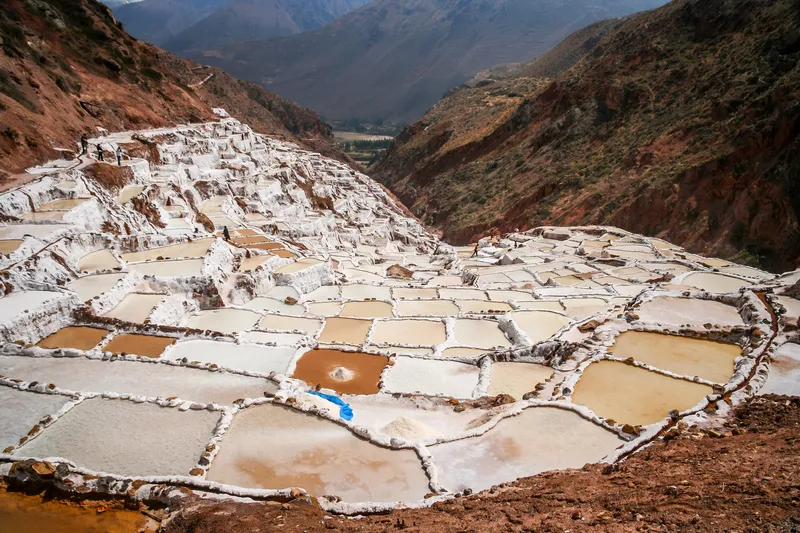 Unraveling the Environmental Complexity of