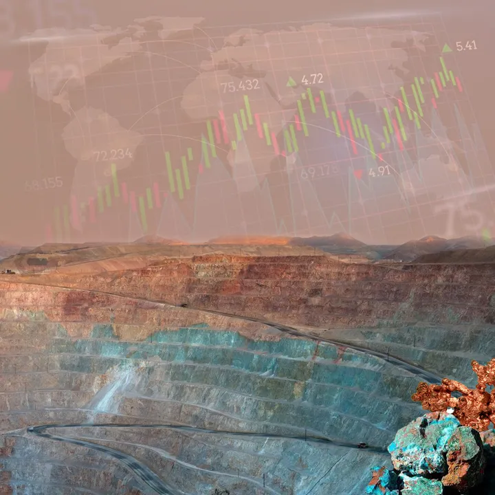 Critical Metals Expands Holdings: Acquires (1)