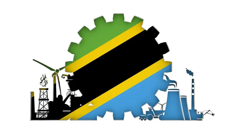 Addressing Challenges in Tanzania’s Mining Industry
