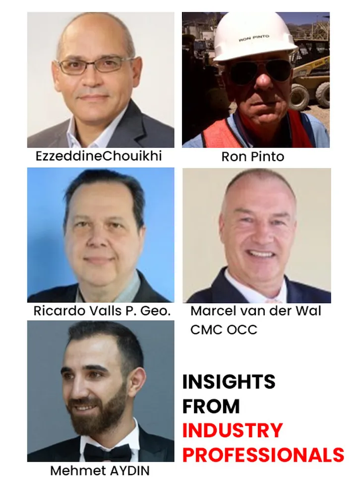 Insights from Experienced Professionals on Leadership