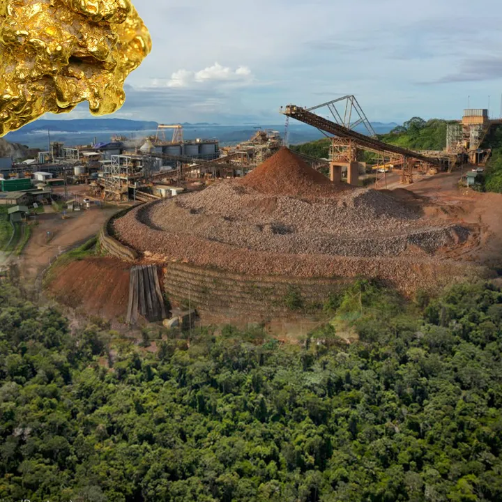 Gold Rush in the Tropics: Unveiling the Severe