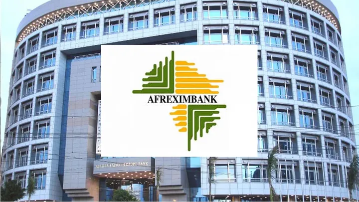 Zimbabwe Uses Platinum Exports to Repay $400 Million Afreximbank Loan