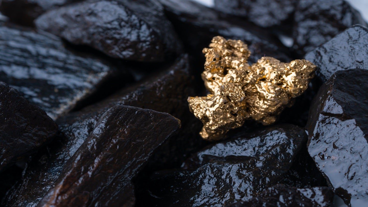 Harfang secures full ownership of Egan Gold Property