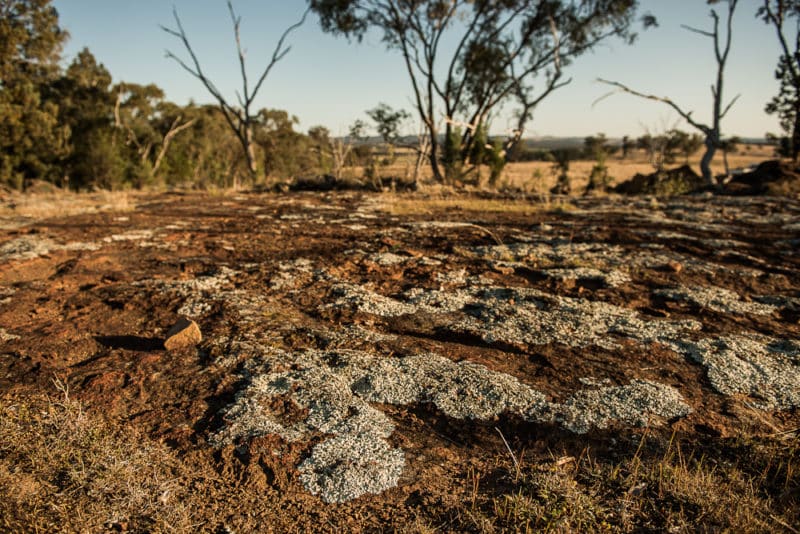 Key contract for ‘globally strategic’ rare earths project