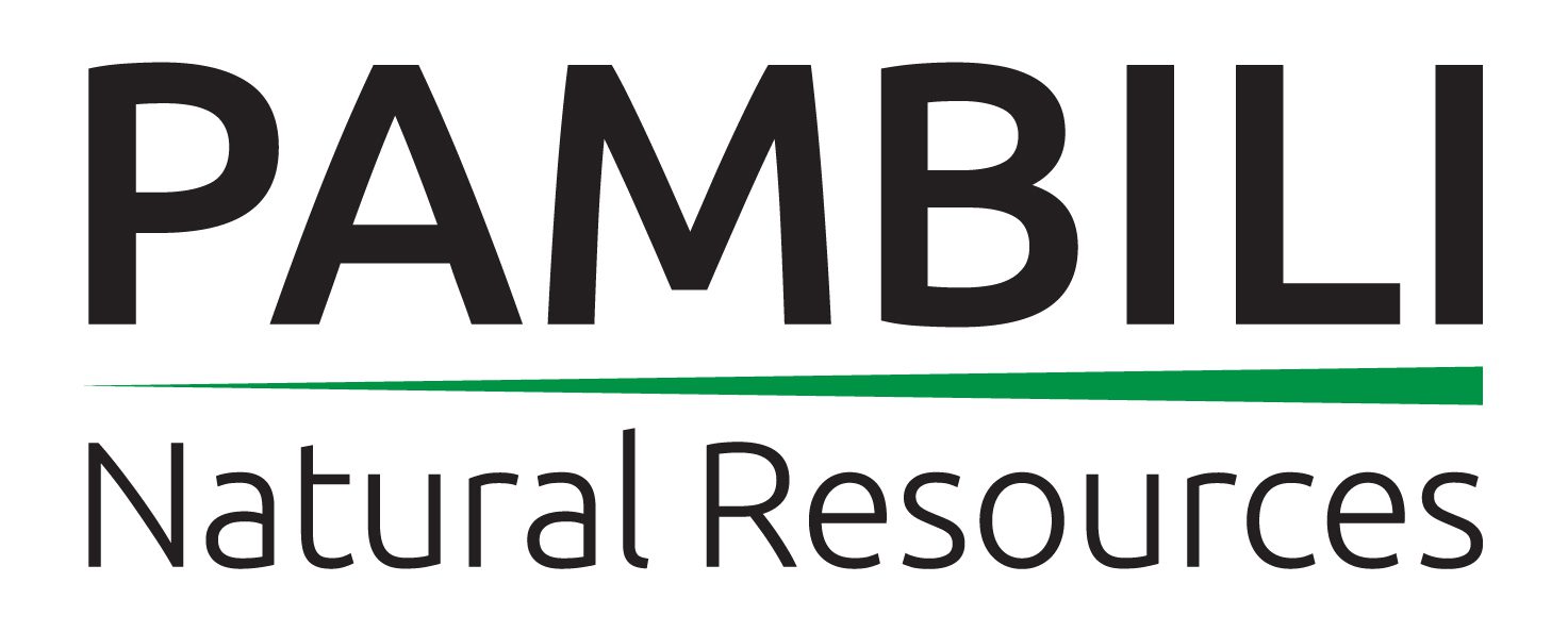 Pambili Natural Resources Corporation’s Bold