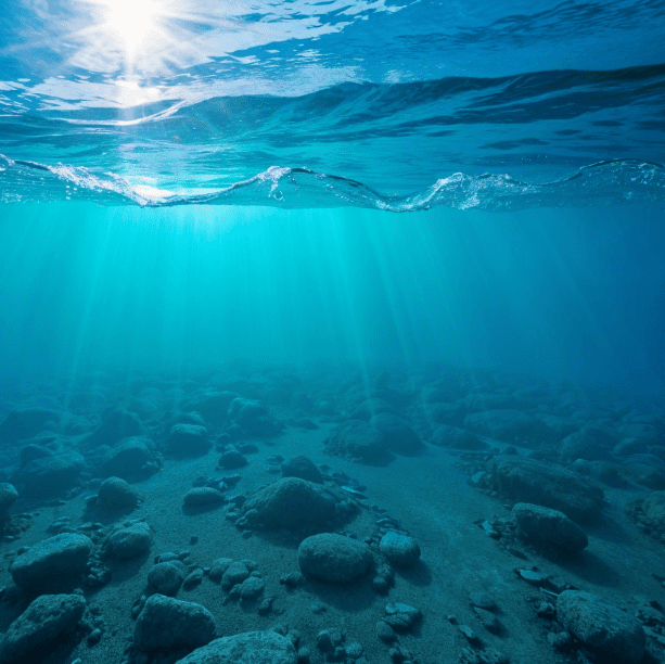 Deep Sea Mining: Companies Prepare to