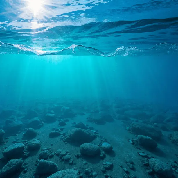 Deep Sea Mining: Companies Prepare to