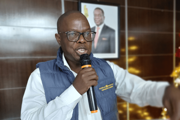 Zimbabwe Mining Sector Faces Revenue Decline