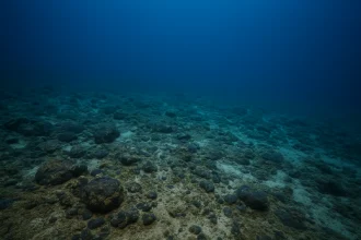 U.S. Moves Toward Offshore Mineral Leasing