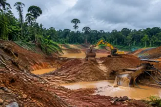 Gold Mining News 2026: Critical Resources Takes Gonini