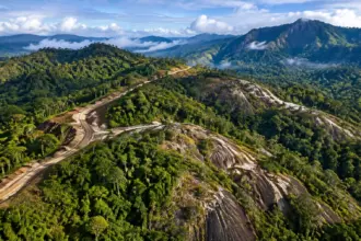 Mako Mining signs Guyana mineral agreement for Eagle Mountain gold